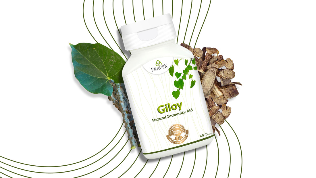 Giloy Capsule Benefits You Should Know About