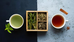 Green Tea vs Herbal Tea: Which One is Right for Your Health?