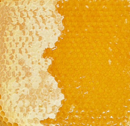 Organic raw honey