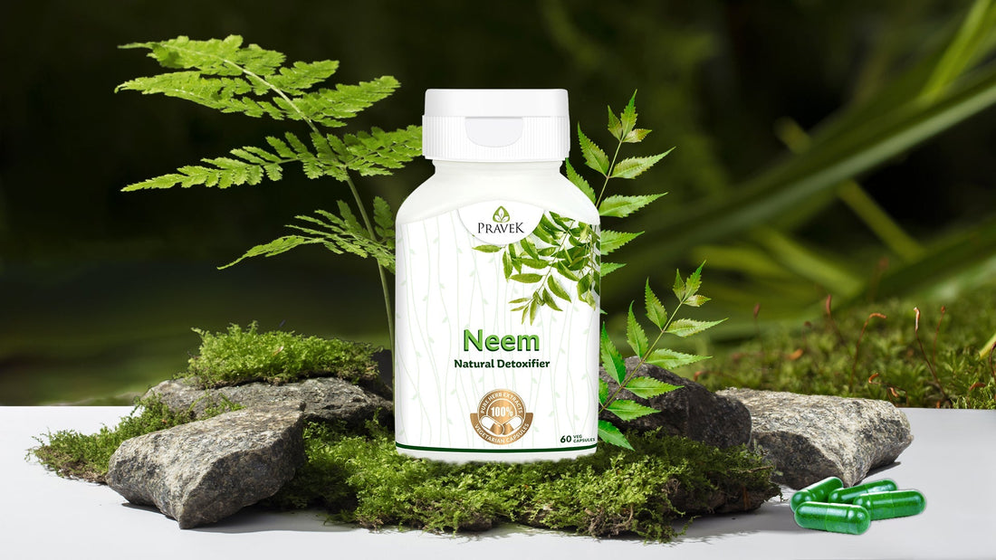 From Immunity to Beauty – The Power of Neem Capsules