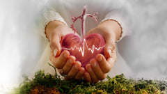 World Heart Day: Ayurvedic Tips to Maintain a Healthy Heart and Lifestyle