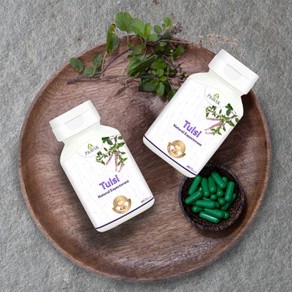 Tulsi - Lung Health